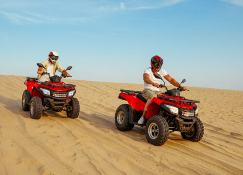 Excursie de safari de 5 ore