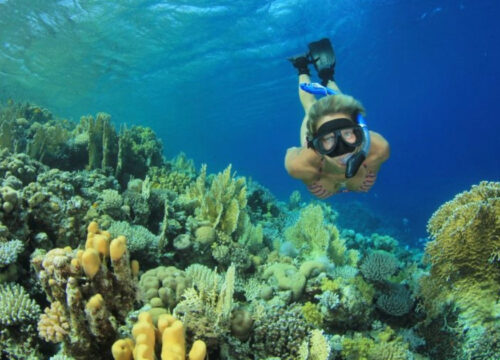 Snorkeling în Marea Roșie – ghid pentru începători