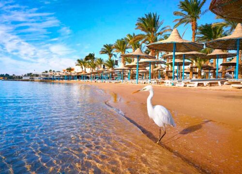 Hurghada 2026 – ghid complet pentru turiștii români