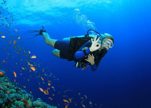 Scufundări în Hurghada pentru începători – ghid complet pentru primul tău diving în Marea Roșie