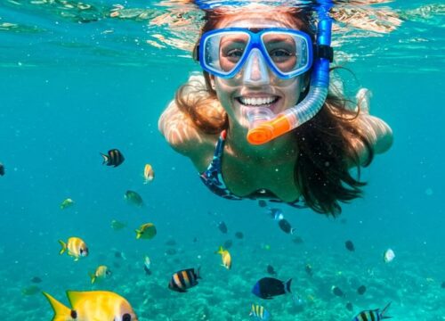 Snorkeling în Egipt pentru începători –tot ce trebuie să știi înainte de prima experiență