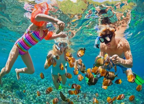 Snorkeling pentru începători în Egipt – primul contact cu lumea subacvatică