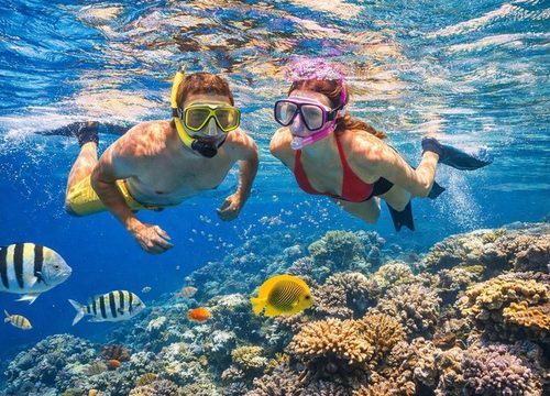 Snorkeling în Egipt – cele mai frumoase locuri din Marea Roșie