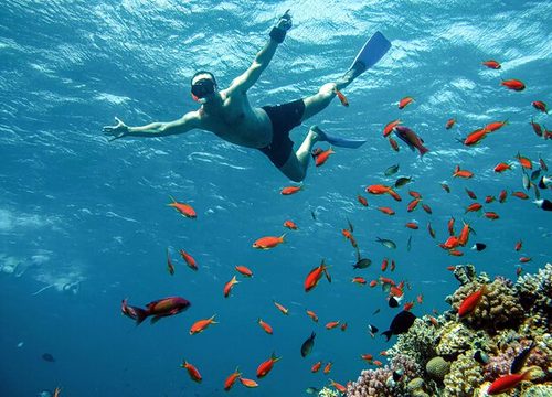 Prima experiență de snorkeling – Cum să te bucuri de Marea Roșie fără teamă?